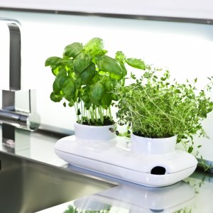 Květináč SAGAFORM Duo Herb