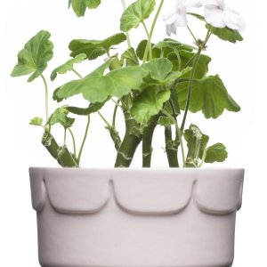 Květináč SAGAFORM Green, světle růžový