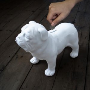 Buldoček - kasička SUCK UK Bull Dog