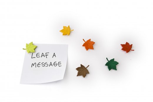 Sada magnetů QUALY Leaf a Message, (listy) 6 ks.