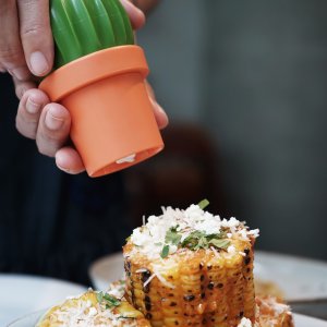 Mlýnek na kořeny/sůl QUALY Cactus, oranžový