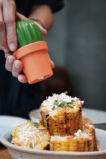 Mlýnek na kořeny/sůl QUALY Cactus, oranžový