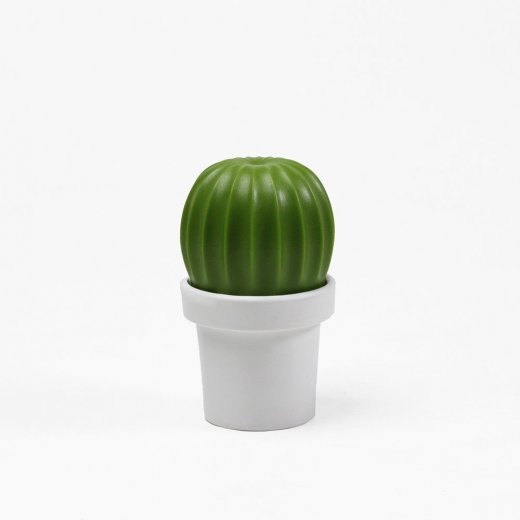 Dekorativní mlýnek na sůl / kořeny QUALY Cactus, bílý